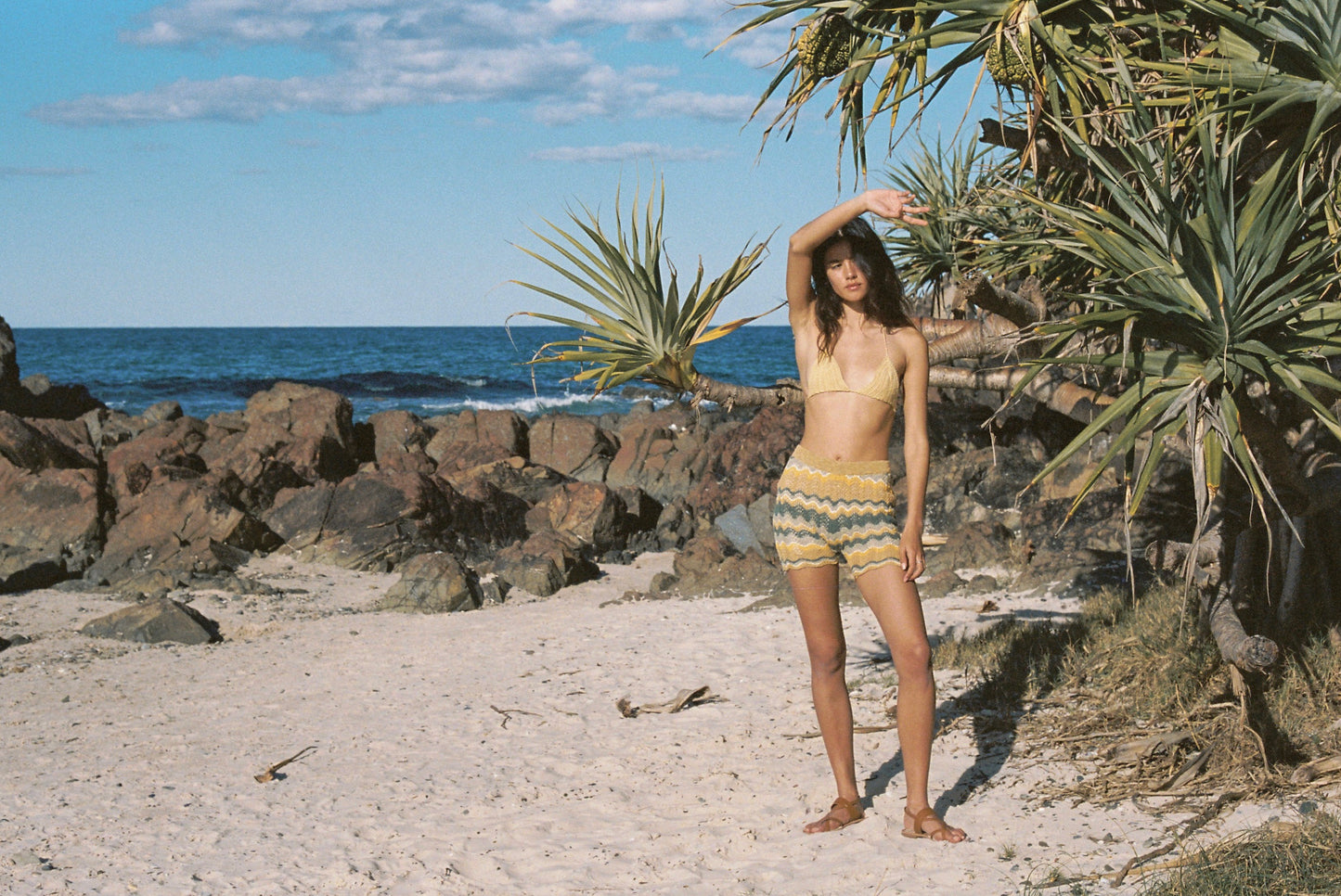 Z I G G Y  Bike Short ~ Cypress