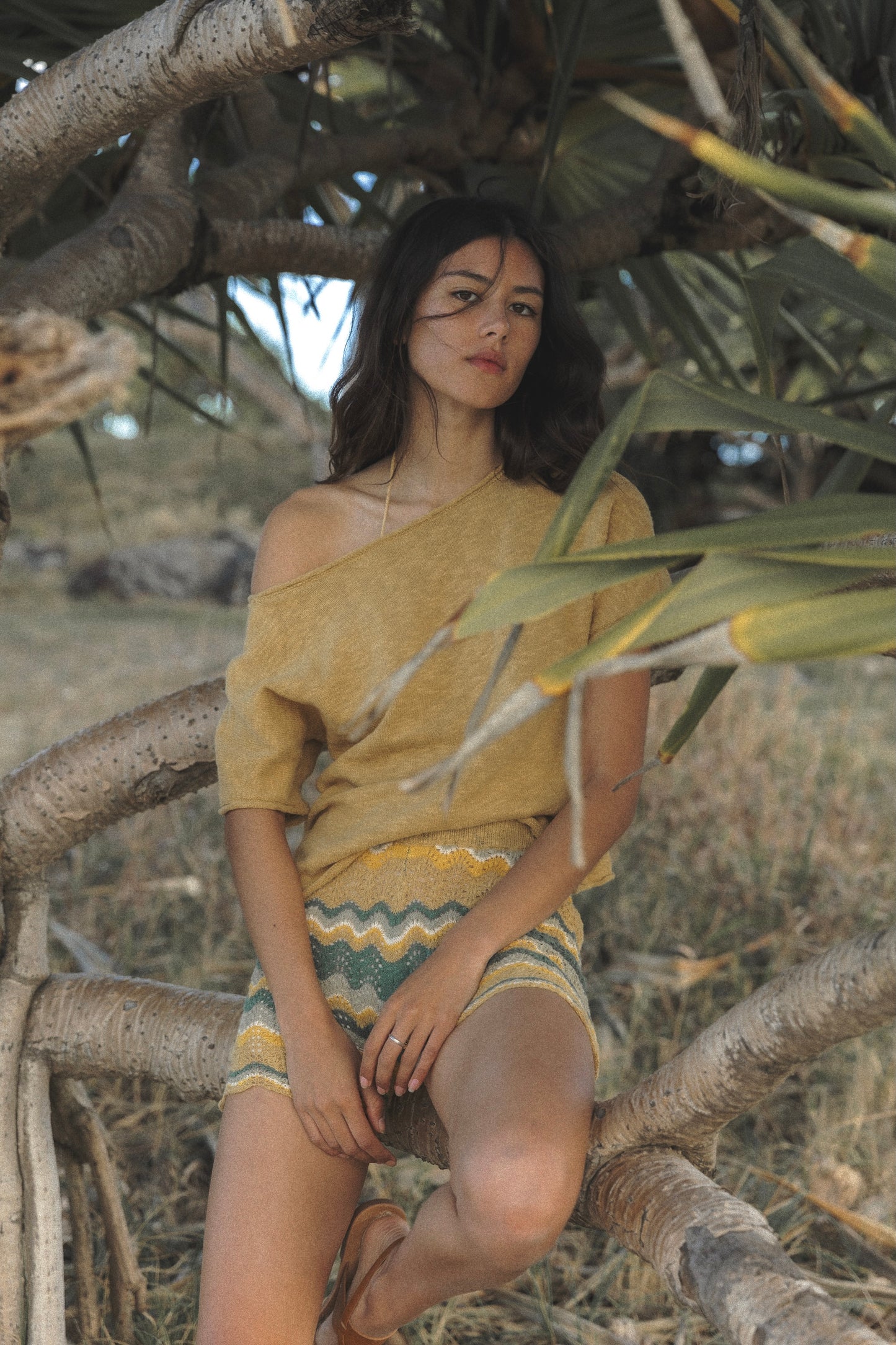 Z I G G Y  Bike Short ~ Cypress