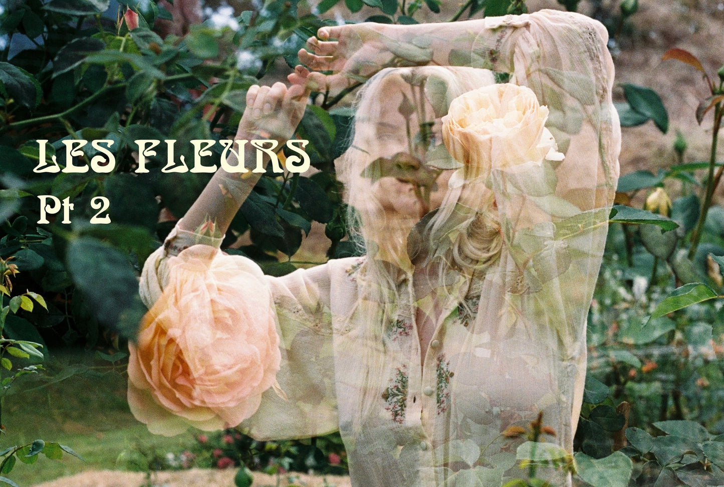 Golden Brown The Label