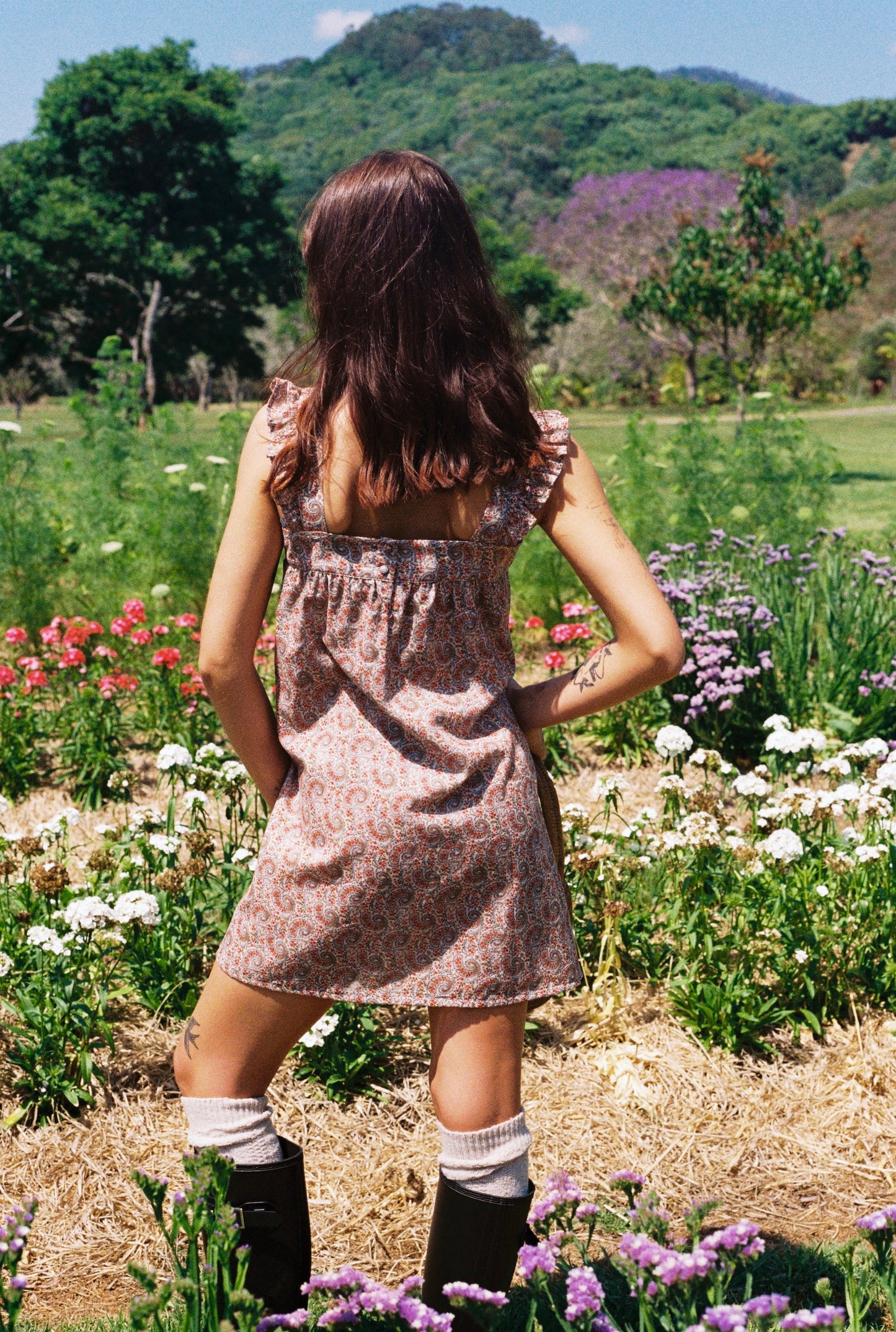 jane birkin pink dress In search of sadie