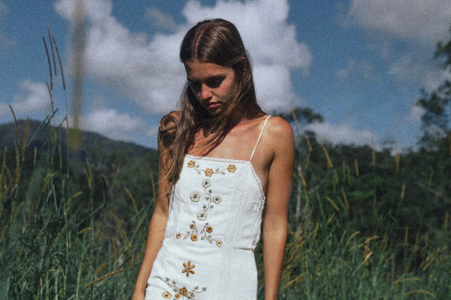 Golden Brown The Label